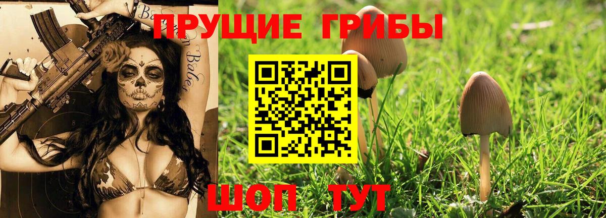 Галлюциногенные грибы Psilocybe Семёнов