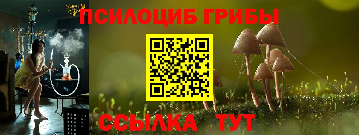 Семёнов  Псилоцибиновые грибы MAGIC MUSHROOMS  Вход с VPN 